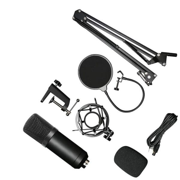 Pro Microphone BM-700 Studio – Image 2