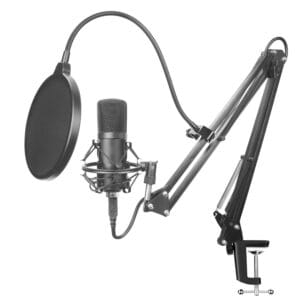 Pro Microphone BM-700 Studio