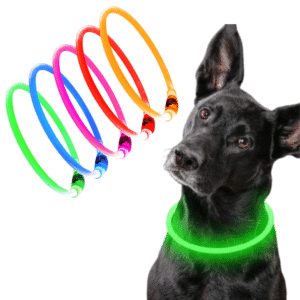 Collier LED Sécurité