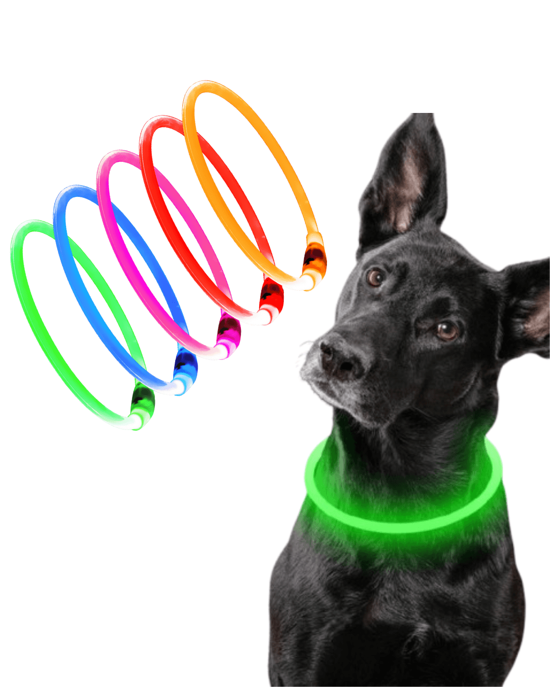 Collier LED Sécurité